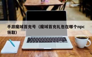 手游魔域首充号（魔域首充礼包在哪个npc领取）